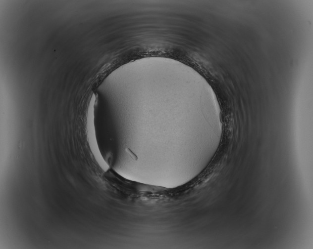 X0000086760916200705041445