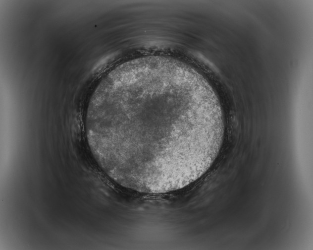 X0000086760918200705041445