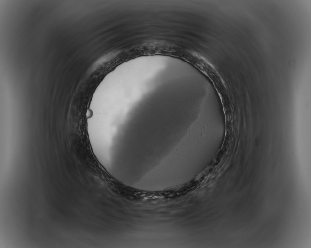 X0000086760919200705041445