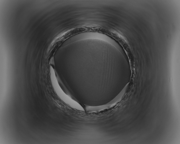 X0000086760920200705041445