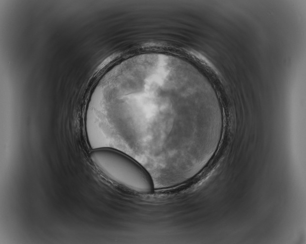 X0000086760921200705041445