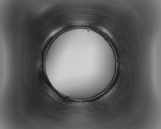 X0000086760922200705041445