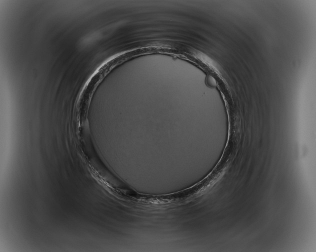 X0000086760923200705041445