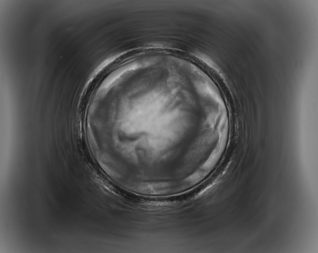 X0000086760925200705041445