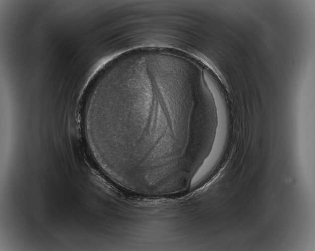 X0000086760926200705041445