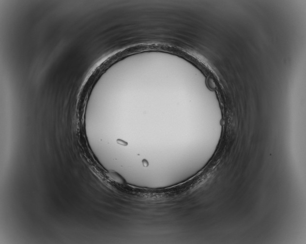 X0000086760927200705041445