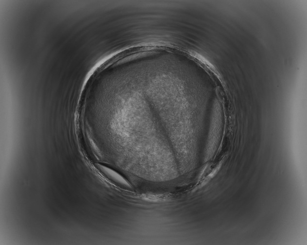 X0000086760928200705041445