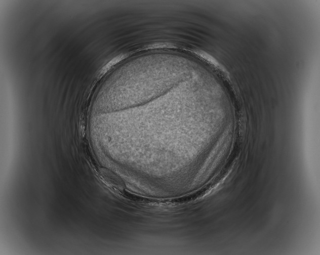 X0000086760929200705041445