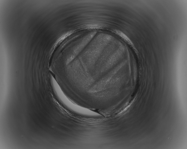 X0000086760930200705041445