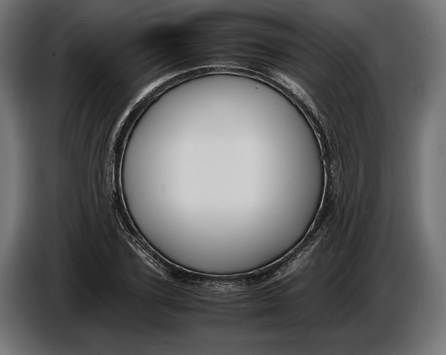 X0000086760931200705041445