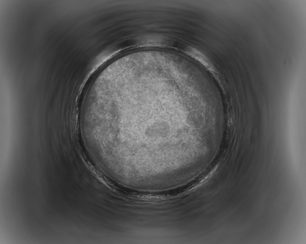 X0000086760933200705041445