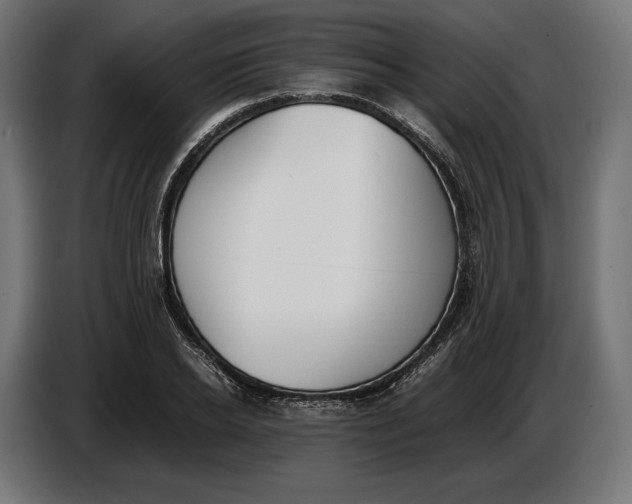 X0000086760934200705041445