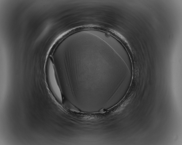 X0000086760935200705041445