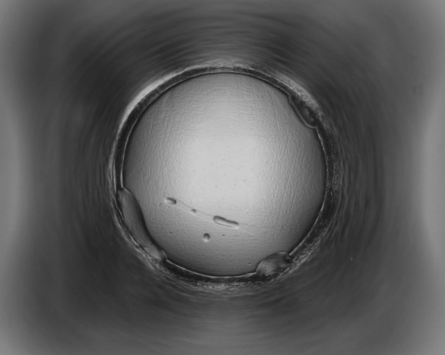 X0000086760936200705041445