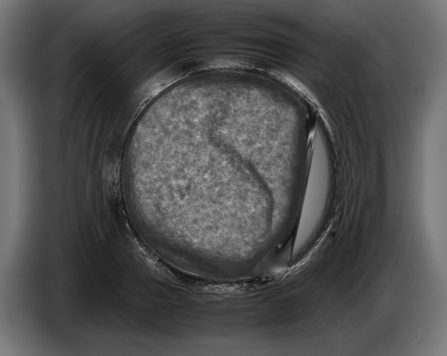 X0000086760937200705041445