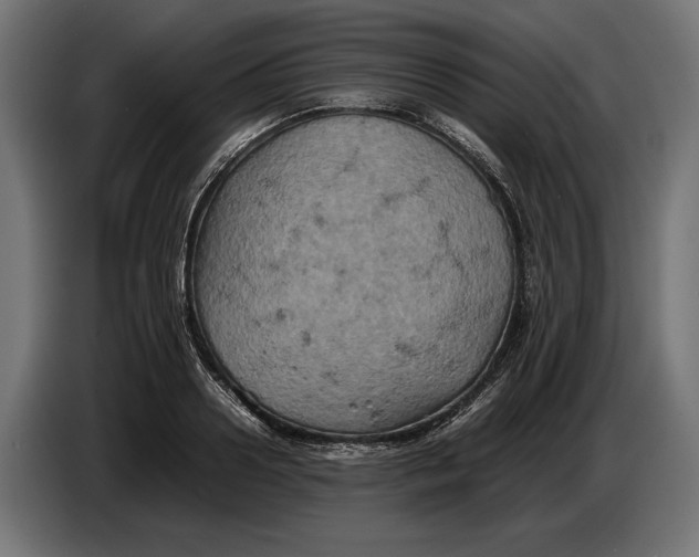 X0000086760938200705041445