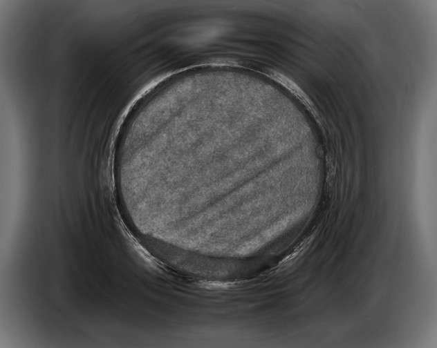 X0000086760939200705041445