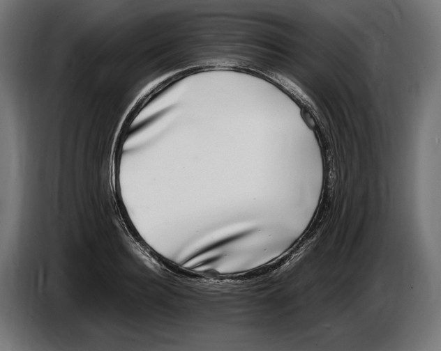 X0000086760940200705041445