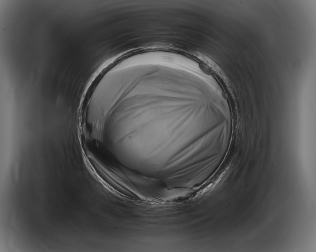 X0000086760941200705041445