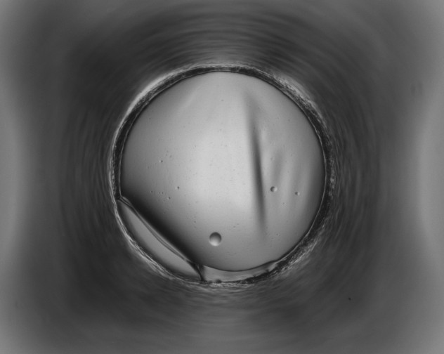 X0000086760942200705041445