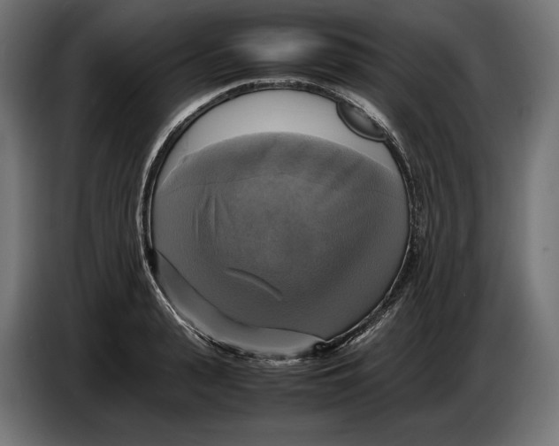 X0000086760943200705041445