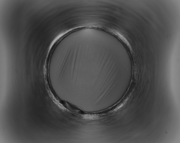 X0000086760944200705041445