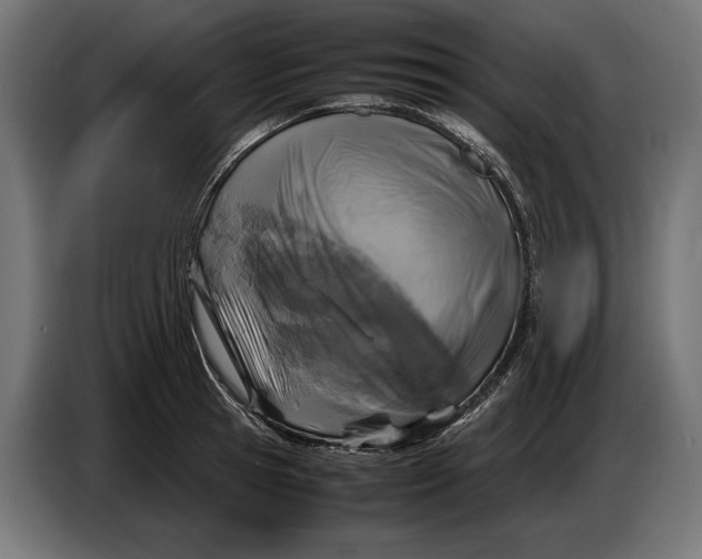 X0000086760945200705041445