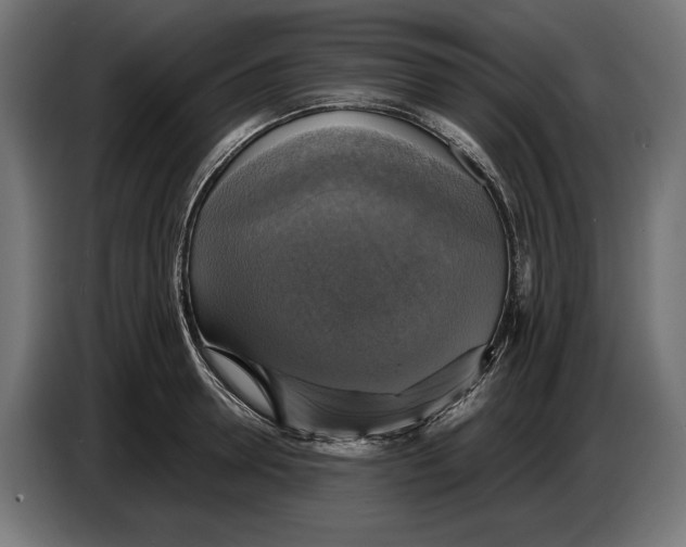 X0000086760946200705041445