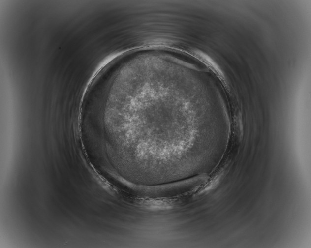 X0000086760948200705041445