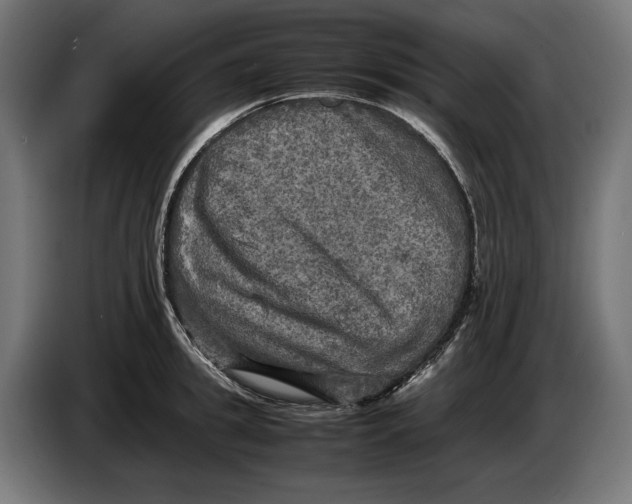 X0000086760949200705041445