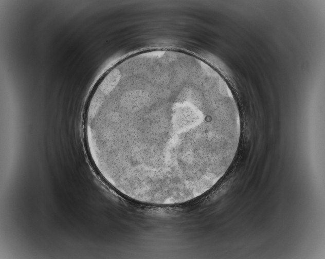 X0000086760950200705041445