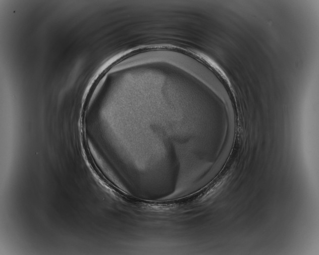 X0000086760951200705041445