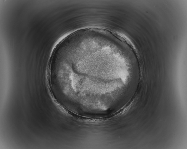 X0000086760952200705041445