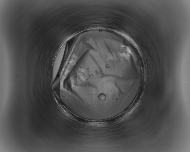 X0000086760953200705041445