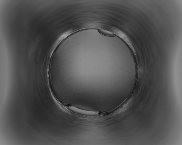 X0000086760954200705041445