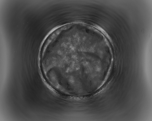 X0000086760955200705041445