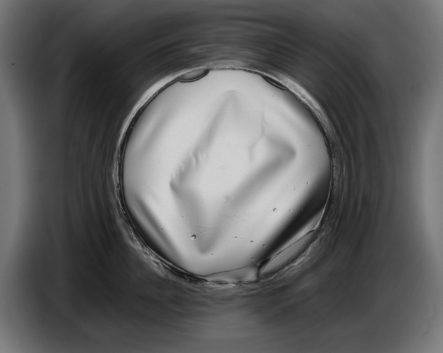 X0000086760956200705041445