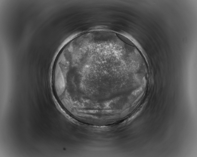 X0000086760957200705041445