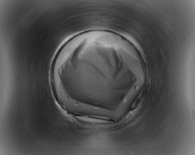 X0000086760958200705041445