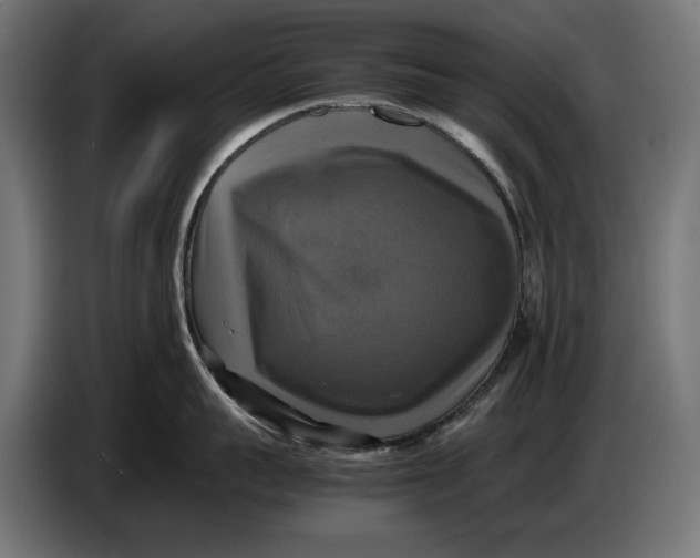 X0000086760959200705041445