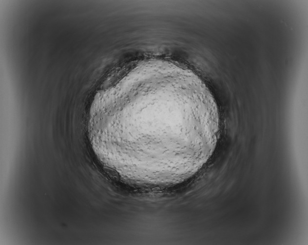 X0000086760961200705041445