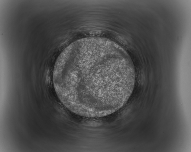 X0000086760962200705041445