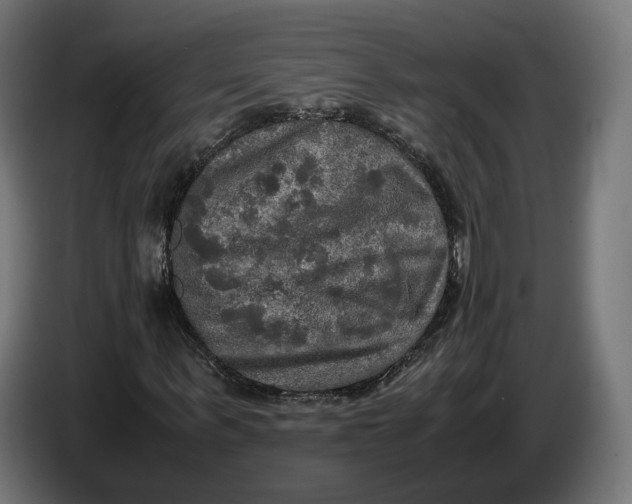 X0000086760963200705041445