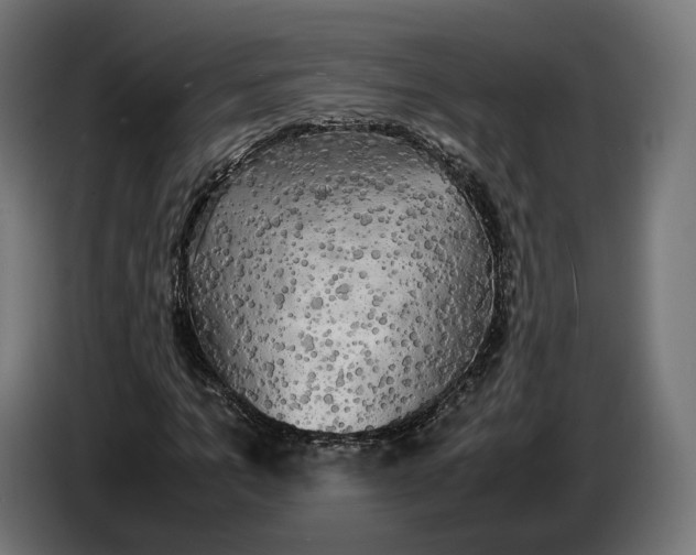 X0000086760965200705041445