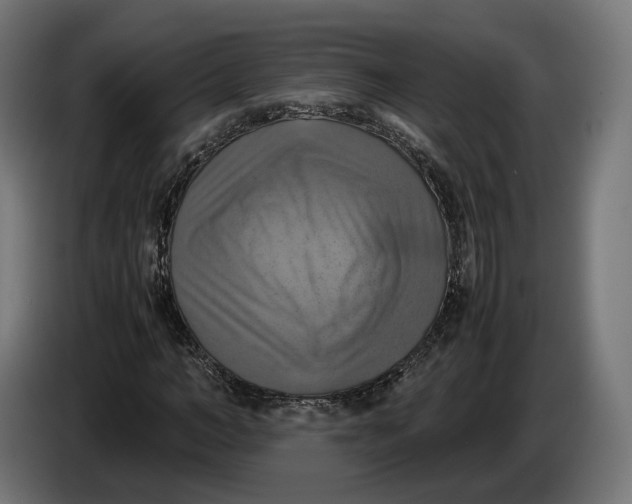 X0000086760966200705041445