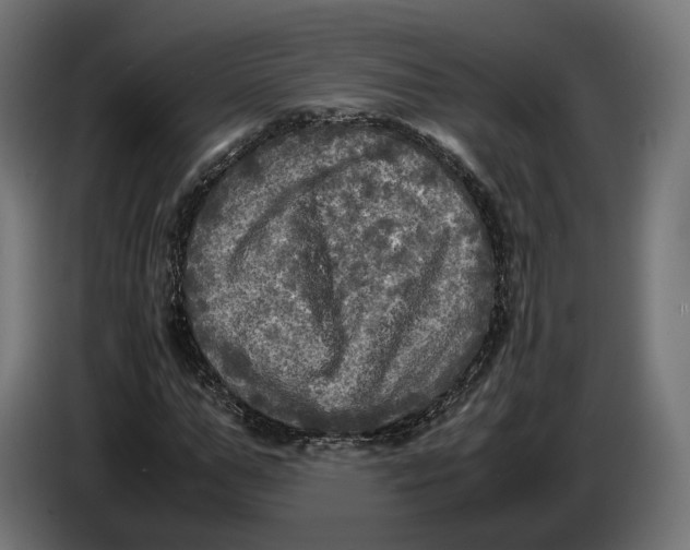 X0000086760967200705041445