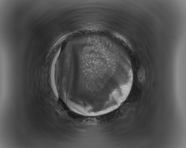 X0000086760968200705041445