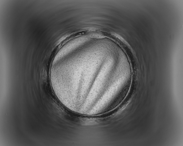 X0000086760969200705041445