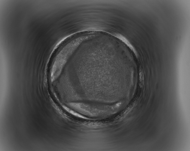 X0000086760972200705041445