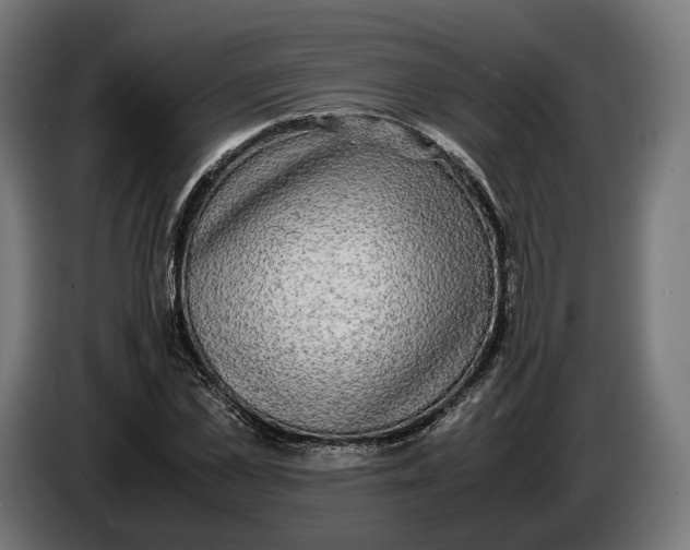 X0000086760973200705041445